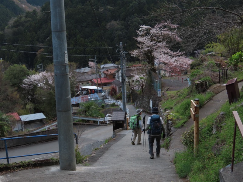 本仁田山