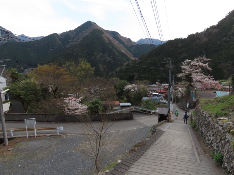 本仁田山