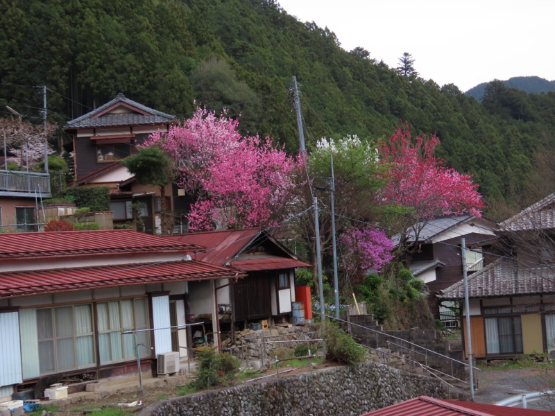 本仁田山