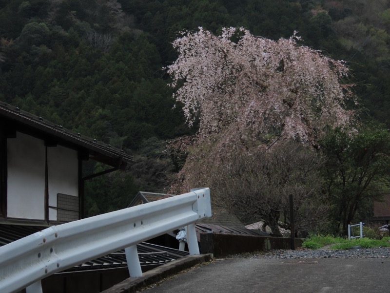 本仁田山