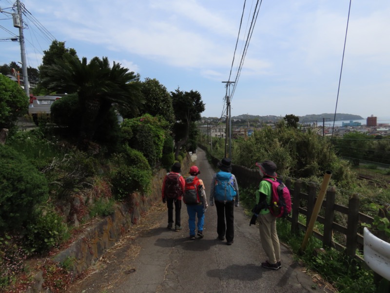 湯河原城山