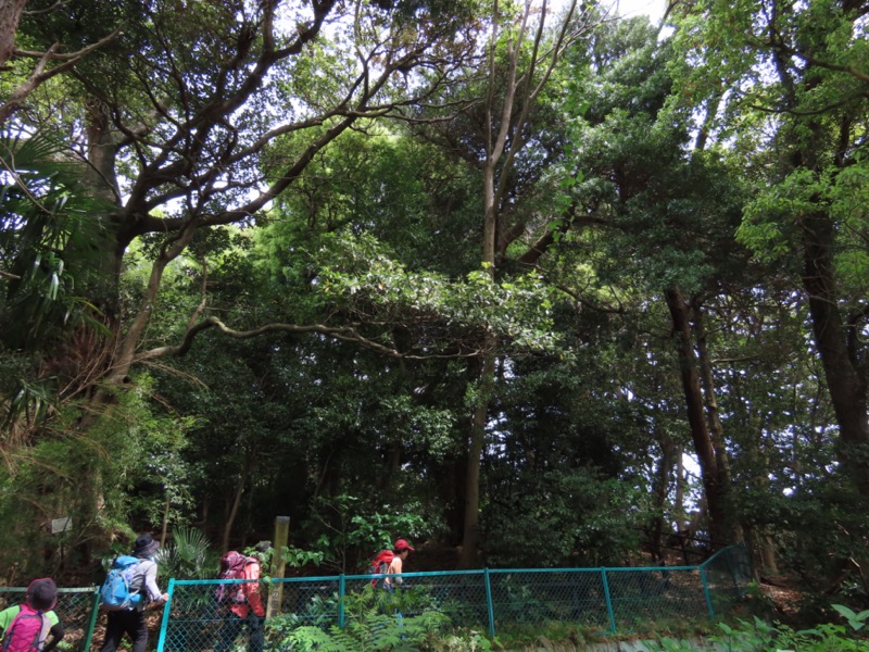 湯河原城山