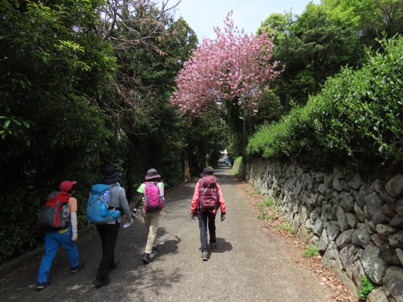 湯河原城山