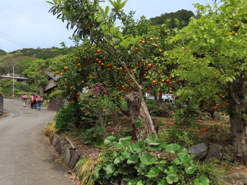 湯河原城山