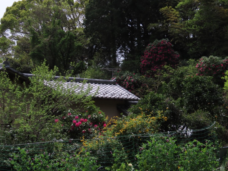 湯河原城山