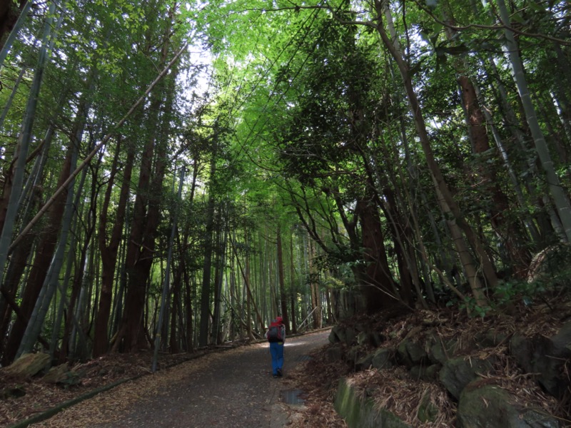 湯河原城山