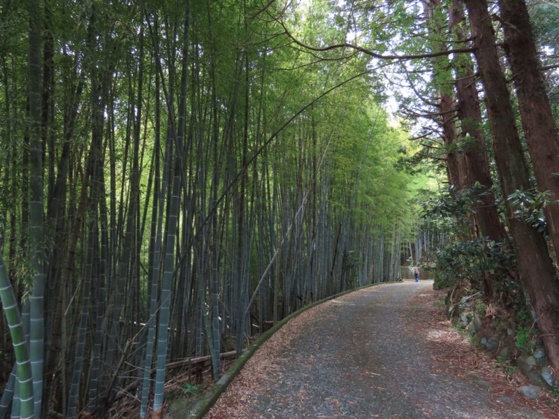 湯河原城山