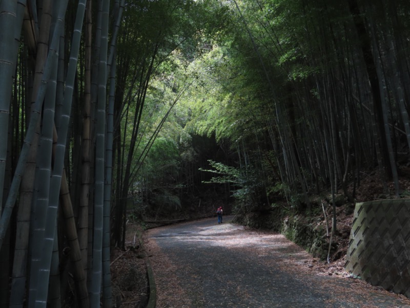 湯河原城山