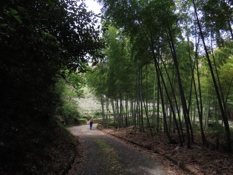 湯河原城山