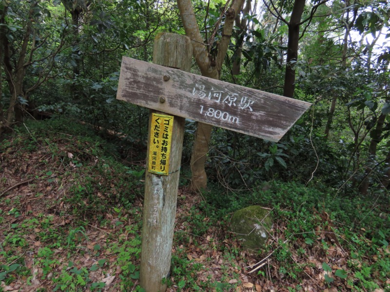 湯河原城山