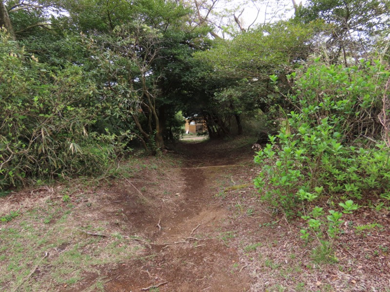 湯河原城山