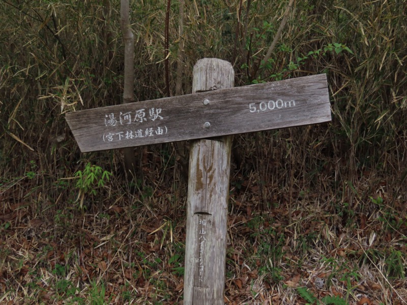 湯河原城山