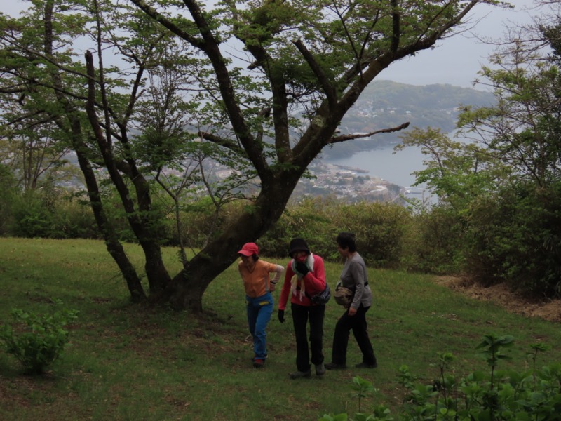 湯河原城山