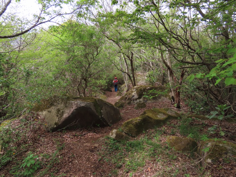 湯河原城山