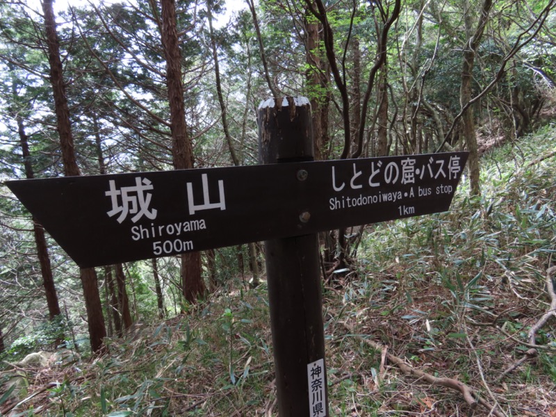 湯河原城山