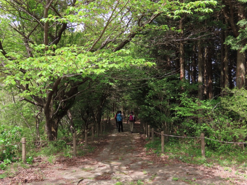 湯河原城山