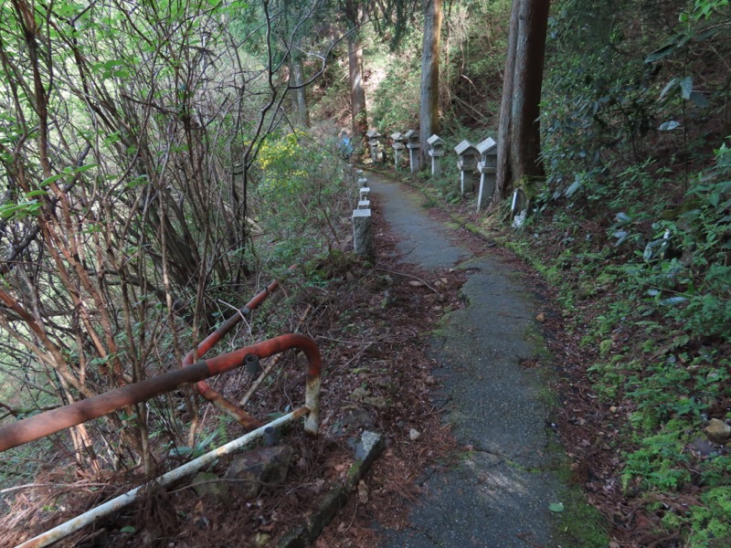 湯河原城山