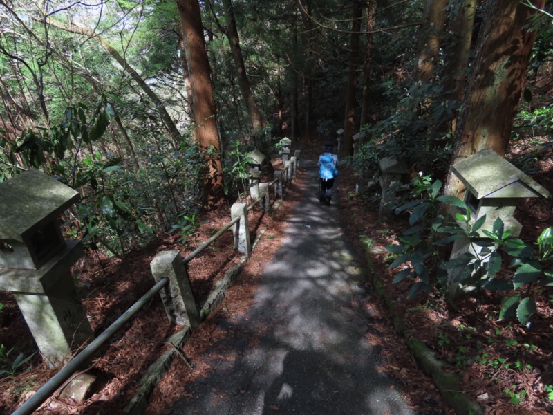 湯河原城山