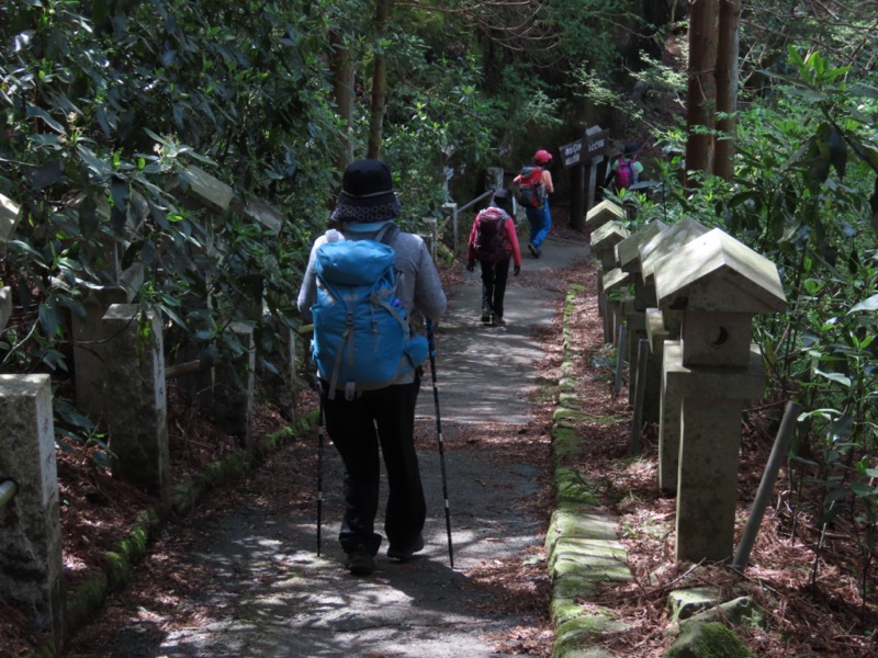 湯河原城山