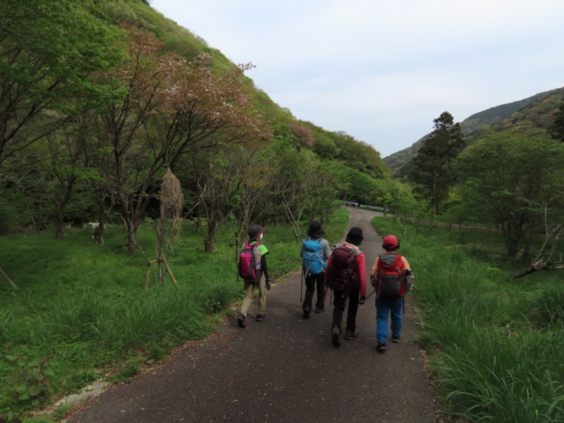 湯河原城山