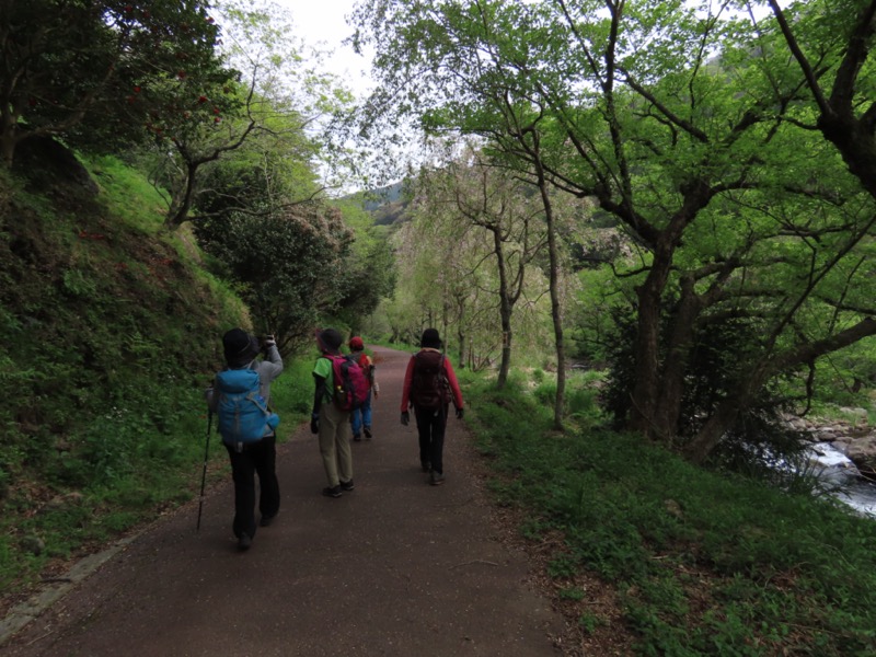 湯河原城山