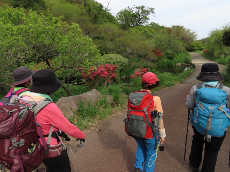 湯河原城山