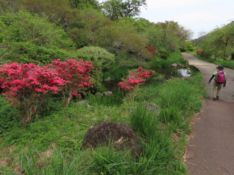 湯河原城山