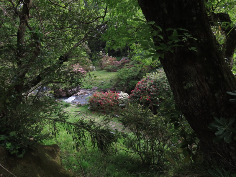 湯河原城山