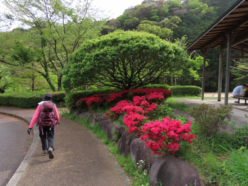 湯河原城山