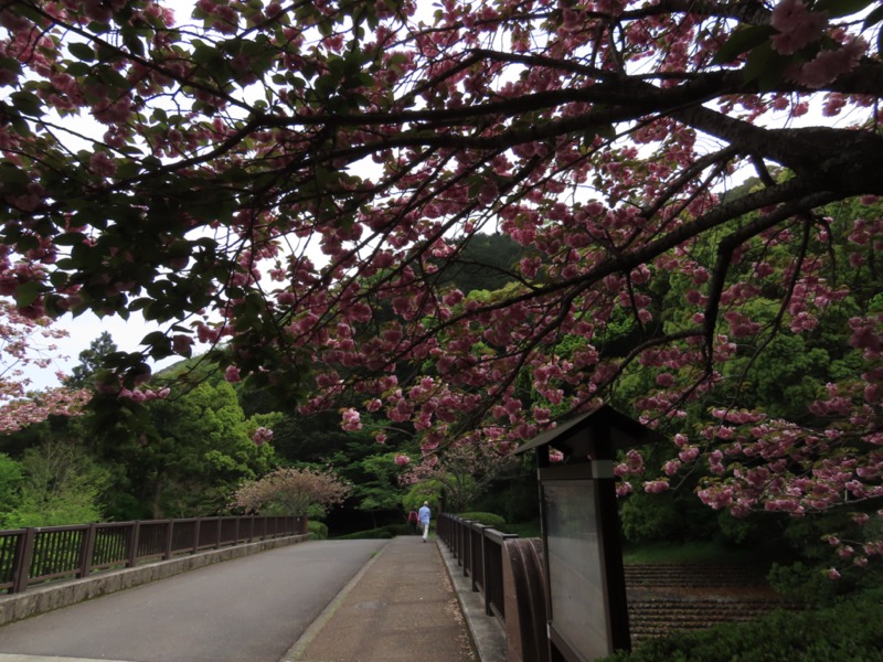 湯河原城山