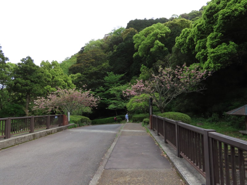 湯河原城山