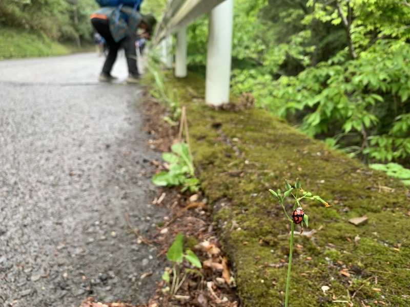 関八州見晴台