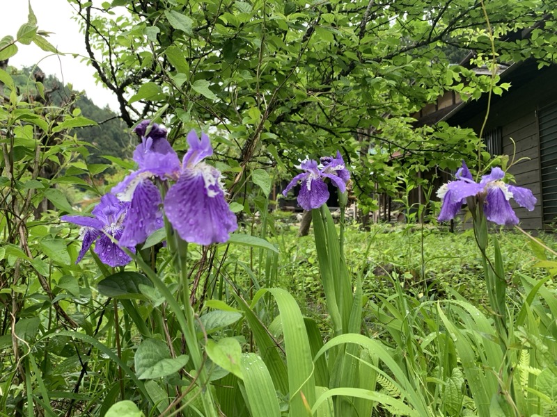 関八州見晴台