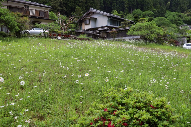 関八州見晴台