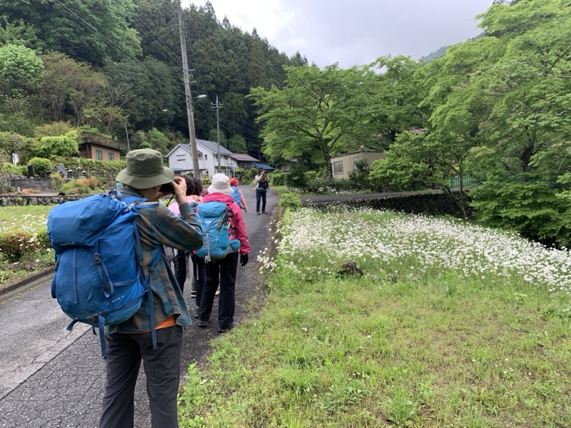 関八州見晴台