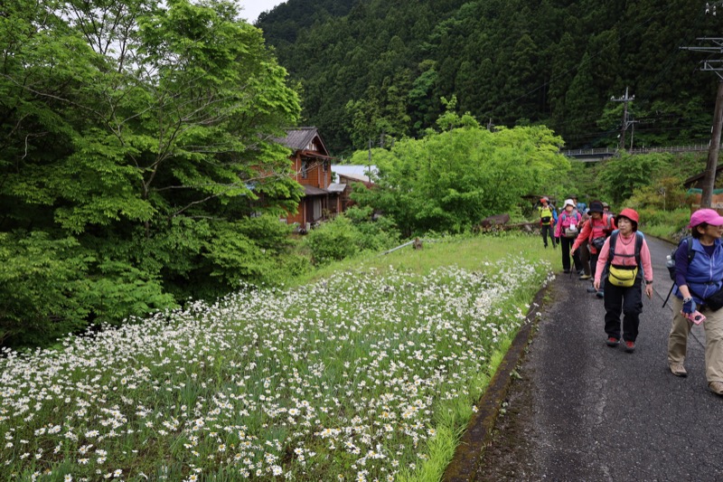 関八州見晴台