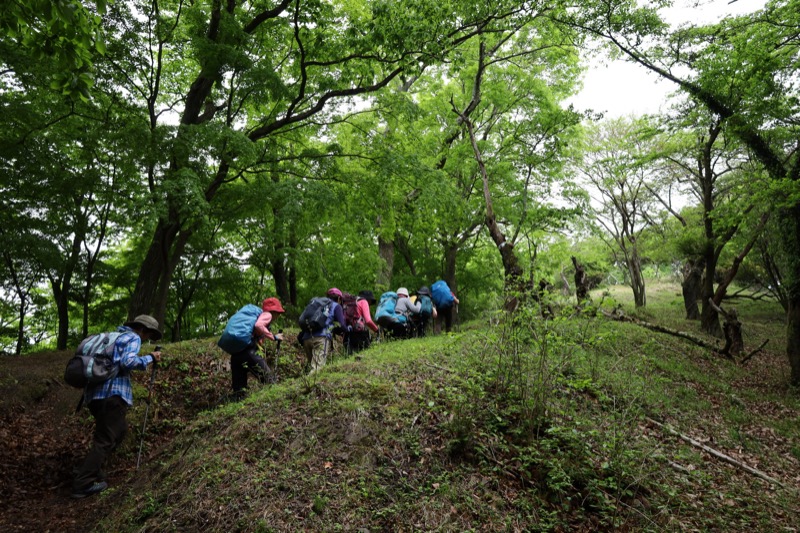 関八州見晴台