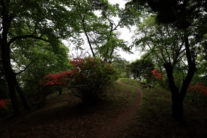 関八州見晴台