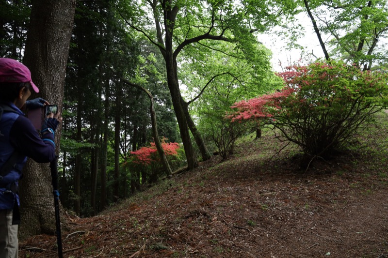 関八州見晴台