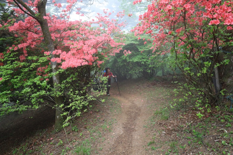 関八州見晴台