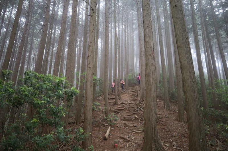 関八州見晴台