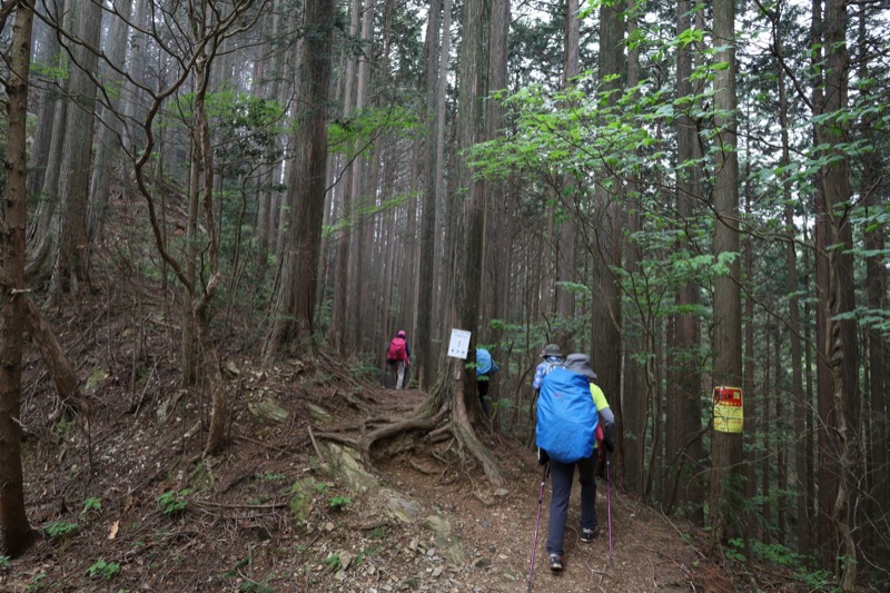 関八州見晴台