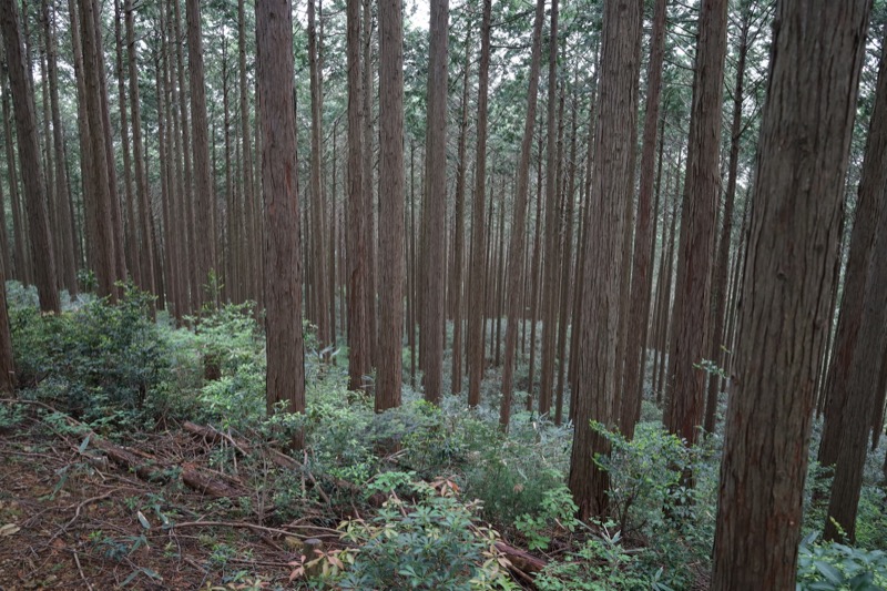 関八州見晴台