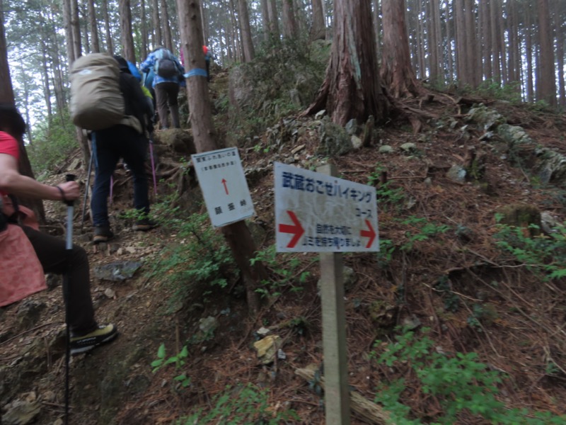 関八州見晴台