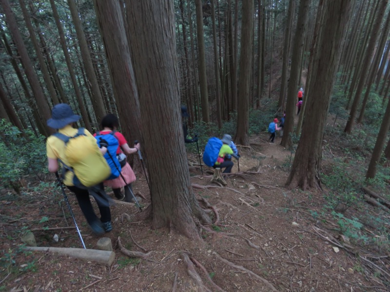 関八州見晴台