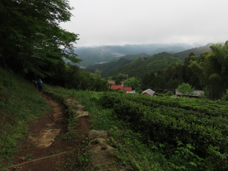 関八州見晴台