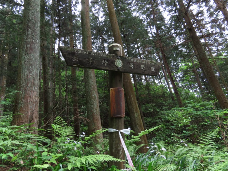 関八州見晴台