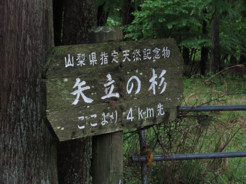 笹子雁ヶ腹摺山