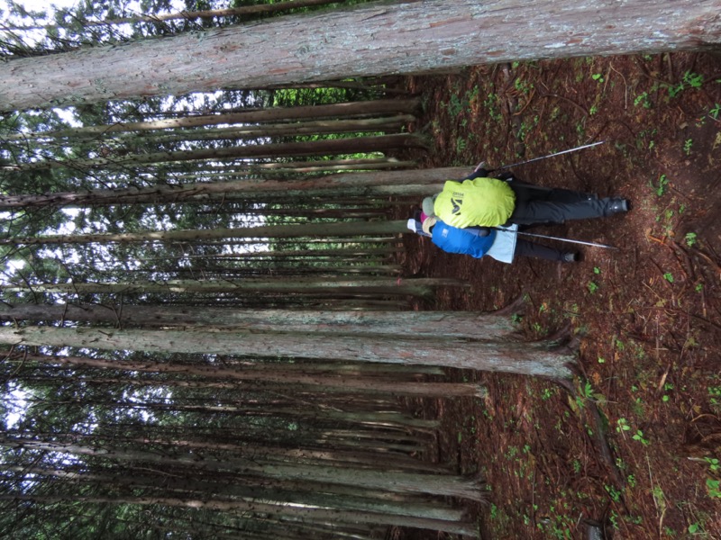 笹子雁ヶ腹摺山