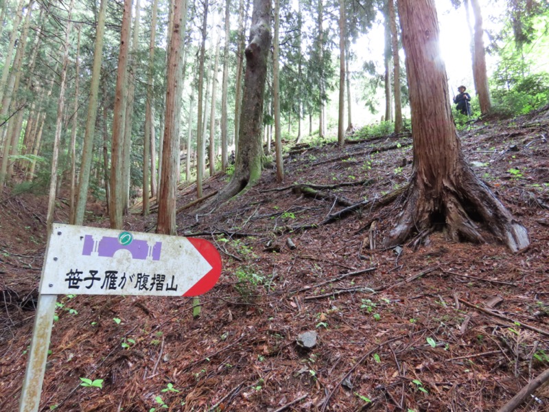 笹子雁ヶ腹摺山